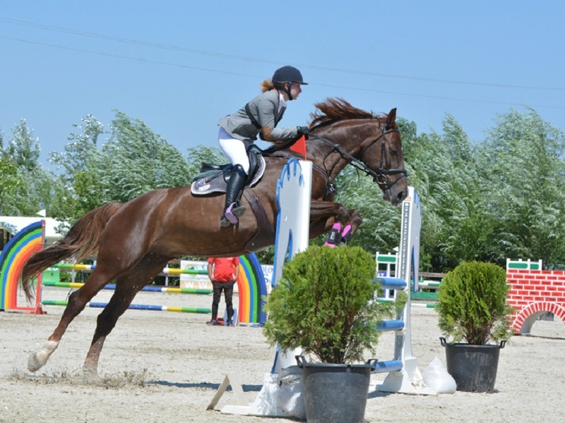 Cupa Equestria, ediția a V-a: S-au desemnat câștigătorii concursului național de sărituri peste obstacole