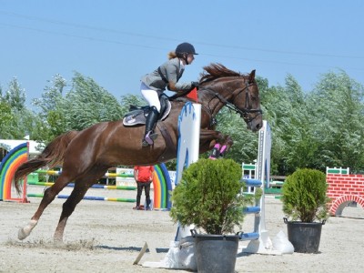 Cupa Equestria, ediția a V-a: S-au desemnat câștigătorii concursului național de sărituri peste obstacole