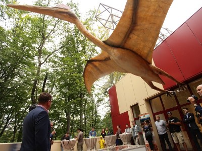 Cel mai mare zburător din lume a ajuns la Dino Parc Râșnov, alături de un cuib de ouă reale de dinozaur