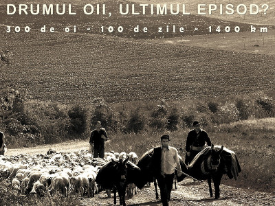 Vernisajul expoziției-semnal DRUMUL OII, ULTIMUL EPISOD? 300 de oi, 100 de zile, 1400 km joi, 22 septembrie, la Muzeul Naţional al Ţăranului Român Vernisajul expoziției-semnal DRUMUL OII, ULTIMUL EPISOD? 300 de oi, 100 de zile, 1400 km joi, 22 septembrie, la Muzeul Naţional al Ţăranului Român