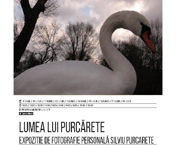 Lumea lui Purcărete, regizorul peliculei Undeva la Palilula, deschisă la Sibiu
