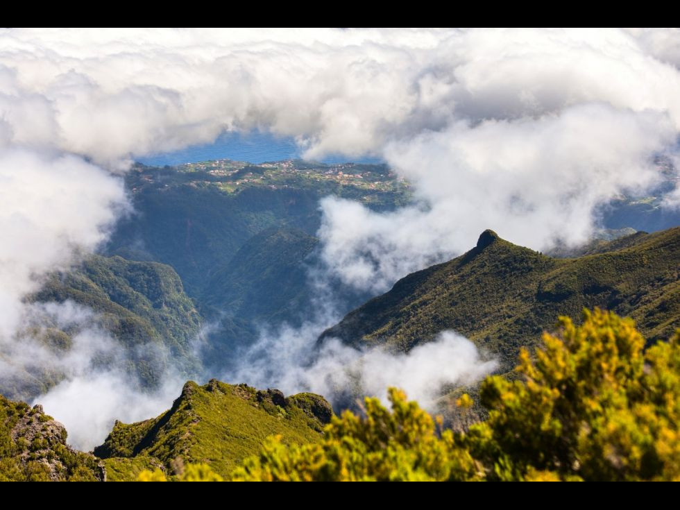 Madeira, avanpostul subtropical al Portugaliei Madeira, avanpostul subtropical al Portugaliei