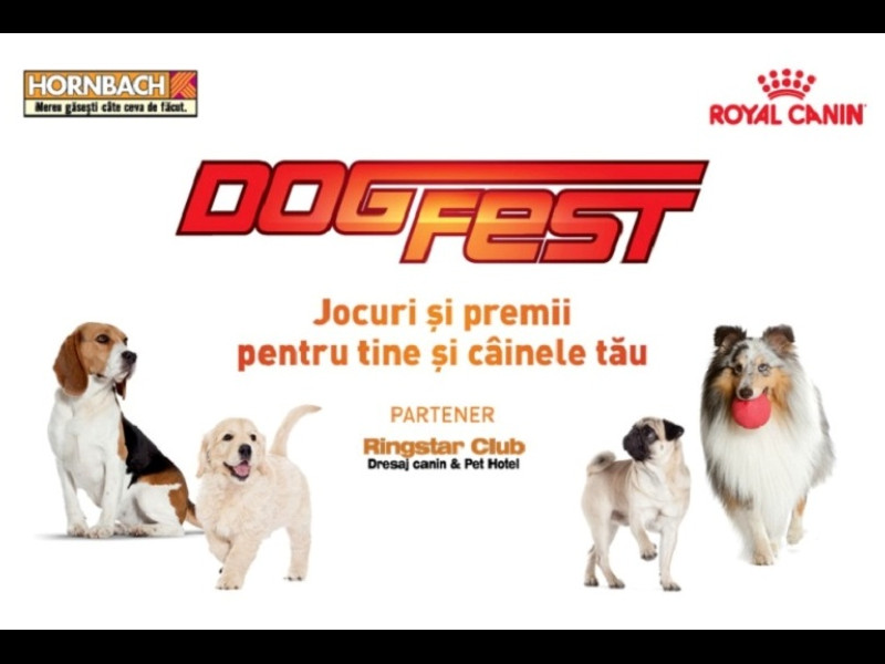 Începe DogFest, eveniment dedicat câinilor