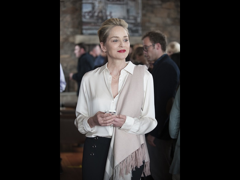 Mosaic, un thriller cu Sharon Stone