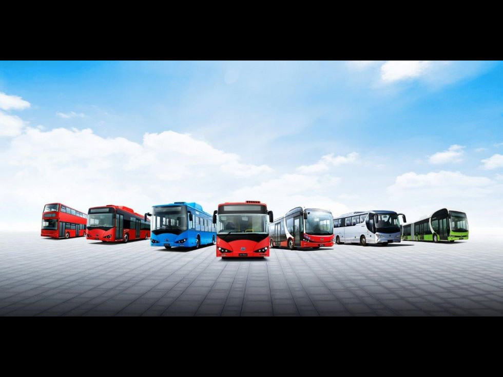BYD Electric Busses