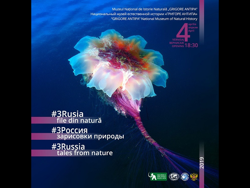 #3Rusia - file din natură #3Rusia - file din natură