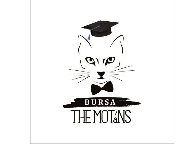 Bursa The Motans: Un proiect pentru sprijinirea studenţilor