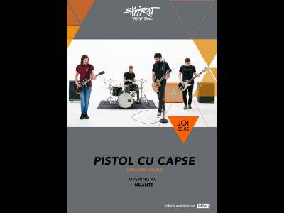 Pistol Cu Capse Pistol Cu Capse