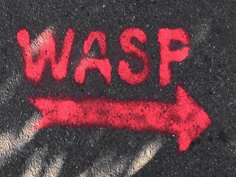 WASP - Working Art Space & Production