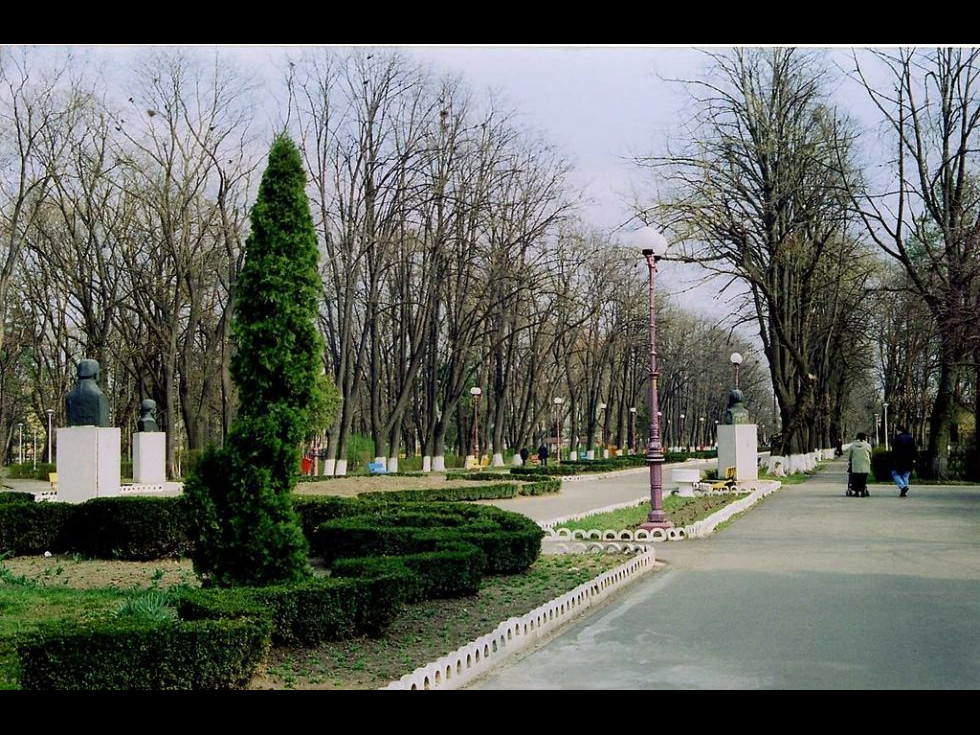 Parcul Cancicov