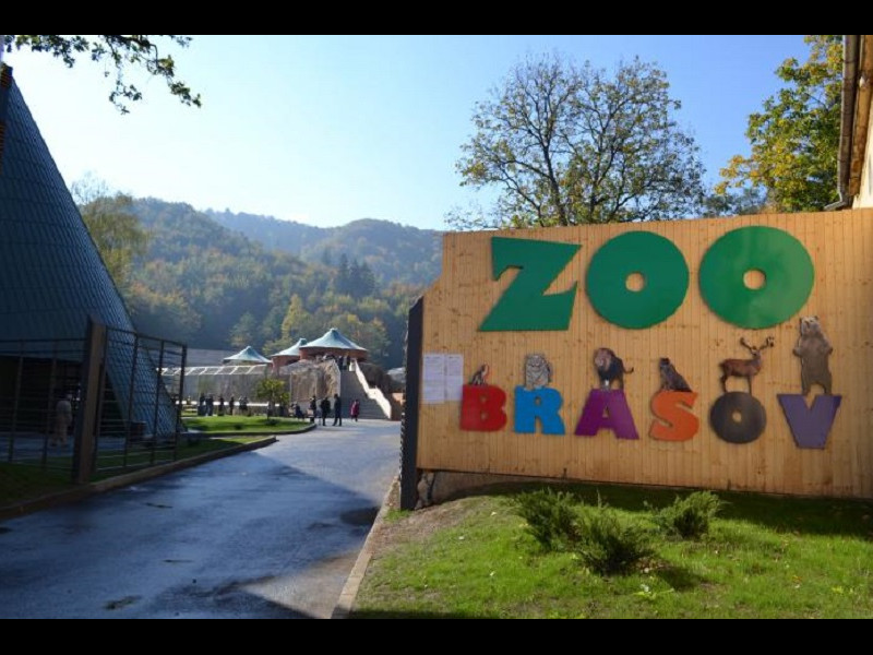 Parcul Zoologic  