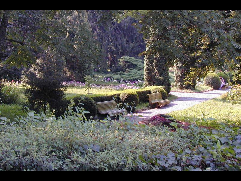 Grădina Botanică a Universității de Medicină și Farmacie