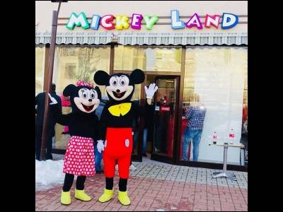 Mickey Land