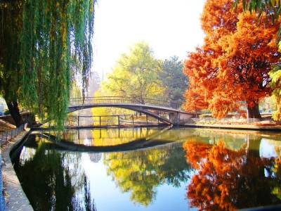 Parcul Regele Mihai I al României