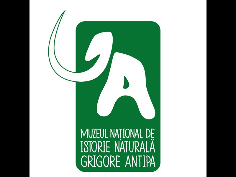 Muzeul Național de Istorie Naturală „Grigore Antipa”