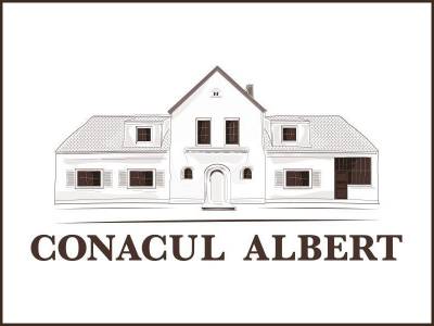 Conacul Albert